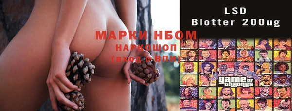 стаф Нягань