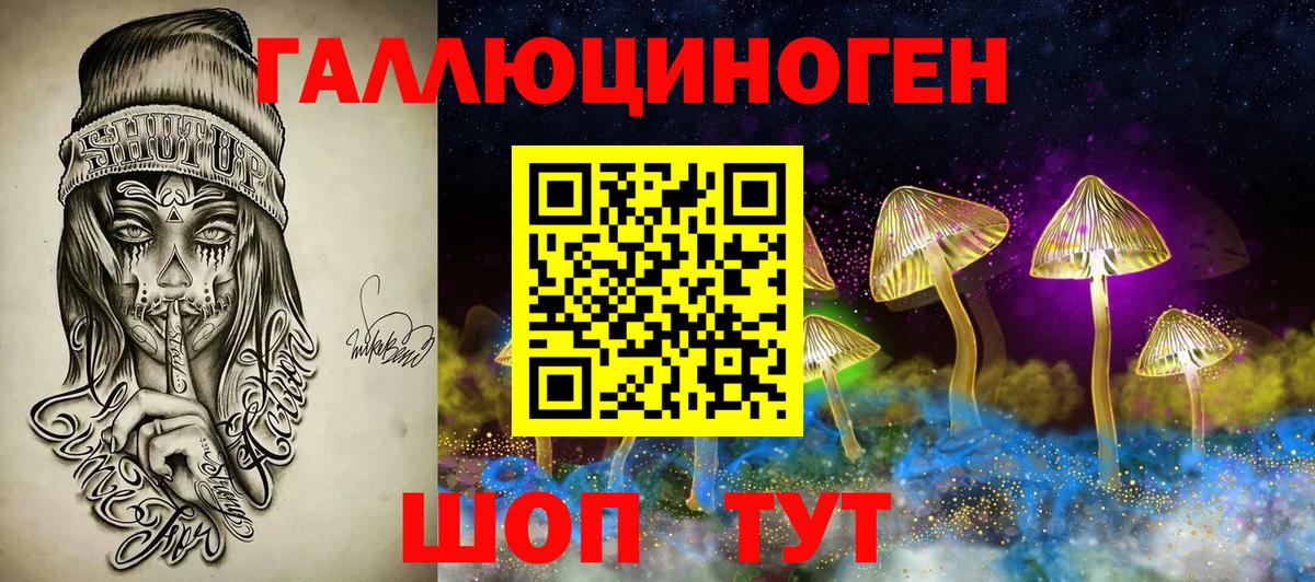 Богородицк  Псилоцибиновые грибы Magic Shrooms  Вход с VPN  Псилоцибиновые грибы мухоморы 