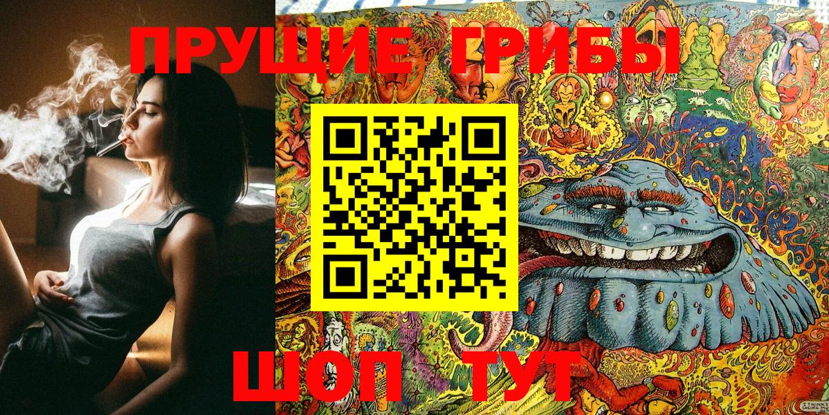 Псилоцибиновые грибы Magic Shrooms  Богородицк 